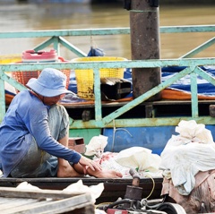 Người nuôi cá nên tuân thủ khuyến cáo của nhà chuyên môn