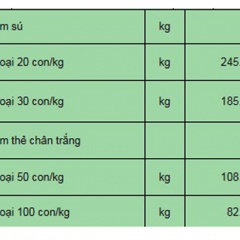 Trà Vinh: Giá tôm thẻ chân trắng và tôm sú liên tục giảm