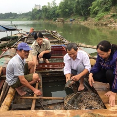 Phòng bệnh cho cá nuôi mùa nắng nóng và thời điểm giao mùa