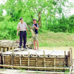 Thanh Hóa: Tận dụng lợi thế lồng hồ thủy lợi để nuôi cá