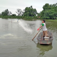 Giảm thiểu thiệt hại trong nuôi trồng thủy sản trước mùa mưa bão