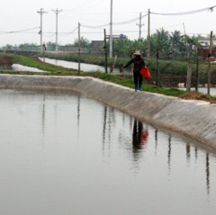 Đông Hải tập trung phòng trừ bệnh đốm trắng trên tôm