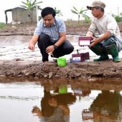 Chủ động quản lý môi trường và phòng bệnh cho tôm mùa nắng nóng