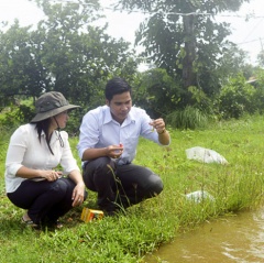 Sóc Trăng: Khuyến cáo phòng trị bệnh phân trắng trên tôm