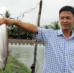 Nông dân làm giàu: Đổi đời nhờ nuôi loài cá bông lau