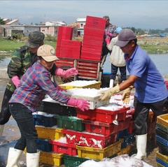 Hỗ trợ nhiên liệu để ngư dân bám biển