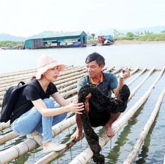 Thả bè “rước” vẹm đen, nông dân thu trăm triệu