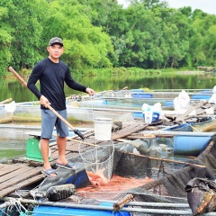 Quảng Nam: Giải pháp hướng đến nuôi trồng thủy sản bền vững