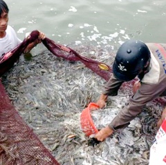 Hà Tĩnh: Sản lượng thủy sản nuôi 6 tháng ước đạt hơn 5.600 tấn