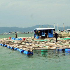 Tăng cường xử lý các trường hợp nuôi thủy sản ngoài quy hoạch