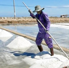 Bình Thuận: Diện tích muối toàn tỉnh giảm trên 357 ha