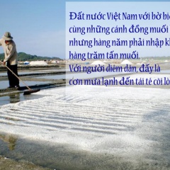 Mưa buồn phận muối