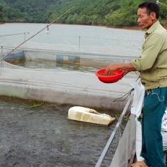 Triển vọng nuôi cá lồng trên đập Tà Keo