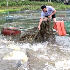 Lạng Sơn: Nâng “chất” các hợp tác xã thủy sản