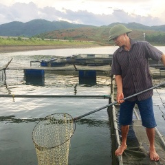 Nghề nuôi cá lồng trên hồ thủy lợi Phượng Mao