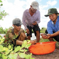 Thêm “cần câu” để thoát nghèo