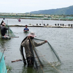 Tăng cường quản lý, hạn chế dịch bệnh