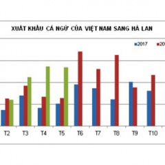 Việt Nam chiếm lĩnh thị trường cá ngừ đông lạnh Hà Lan