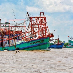 Khai thác biển bền vững: Chuyển đánh bắt ven bờ sang nuôi trồng