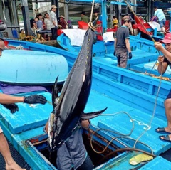 Khánh Hòa: Sẵn sàng đón đoàn EC