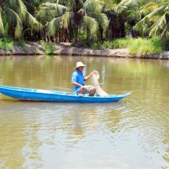 Nuôi cá bông lau trong ao đất