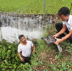 Toàn tỉnh Sơn La khai thác 642 tấn thủy sản trong tháng 7