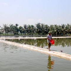 Quảng Yên: Hỗ trợ nông dân vay vốn phát triển nuôi trồng thủy sản