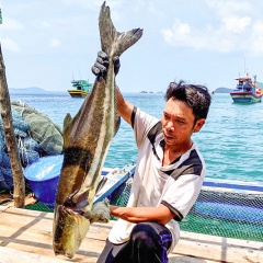 Lênh đênh nghề nuôi cá bè biển Tây