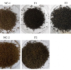 Tiềm năng thức ăn có chứa melanin bảo vệ tôm thẻ khỏi virus WSSV