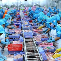 Xuất khẩu thủy sản: chờ cơ hội đột phá cuối năm