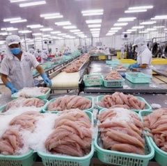 Mỹ: Công bố Luật về việc công nhận Việt Nam đủ điều kiện xuất khẩu cá da trơn