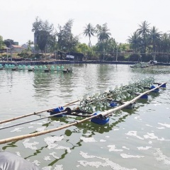 Thu phí nước thải trong lĩnh vực thủy sản: Chưa chặt chẽ