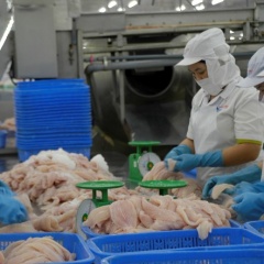 Chi tiết chương trình kiểm soát cá da trơn xuất khẩu sang Mỹ
