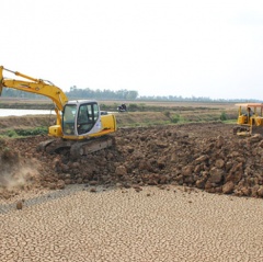 Giá cá tra xuống thấp, dân Đồng Tháp Mười lại… lấp ao để trồng lúa