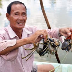 Nuôi tôm, cua “khác người”, 1 nông dân tỉnh Cà Mau lãi tiền tỷ