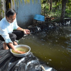 Con tôm vượt hạn vượt mặn