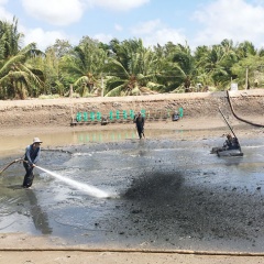 Bến Tre: Người nuôi tôm dè dặt thả nuôi