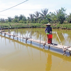 Làm giàu tiền tỷ trên vùng đất hoang hóa