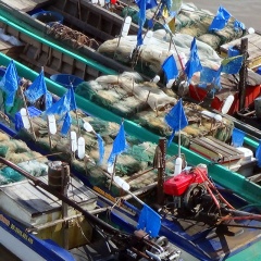 Cà Mau: Gặp khó khi chuyển đổi nghề cho ngư dân