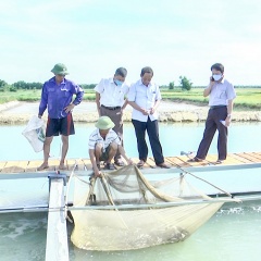 Triển khai mô hình nuôi cá “sông trong ao” đầu tiên ở Quảng Trị