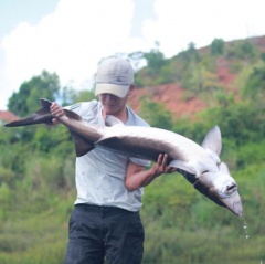 Người đàn ông đánh liều nuôi đàn cá “ngàn đô” trên Cao Nguyên