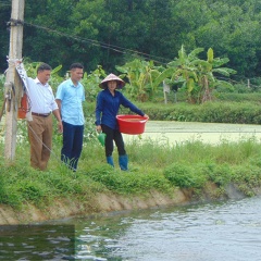 Nuôi đủ loại cá ngon, lão nông thu trăm triệu mỗi năm