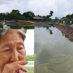 Nợ nần, phải bỏ xứ vì nạn trộm tôm