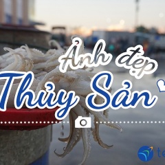 Cuộc thi Ảnh Đẹp Thủy Sản