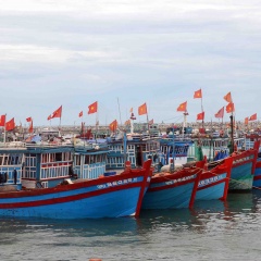 Tăng cường xử lý các vi phạm, nỗ lực gỡ "thẻ vàng" đối với thủy sản Việt Nam