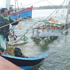 Vì những chuyến biển an toàn