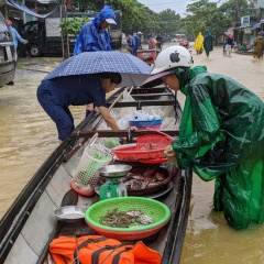 Lũ ngập ao nuôi, dân đẩy xuồng ra phố bán tháo cá tôm