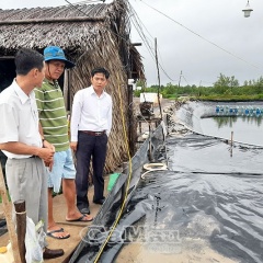 Sử dụng điện an toàn trong mùa mưa