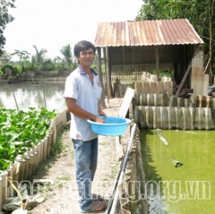 Nuôi ba ba sinh sản, mỗi tháng lời gần 90 triệu đồng