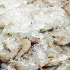 Rau, cá, tôm trong chuỗi thực phẩm an toàn cũng dính hoạt chất ngoài danh mục